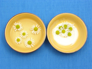 Image showing Camomile blooms in water and cream in ceramic bowls on blue background
