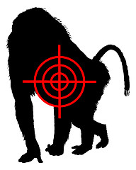 Image showing Baboon crosslines