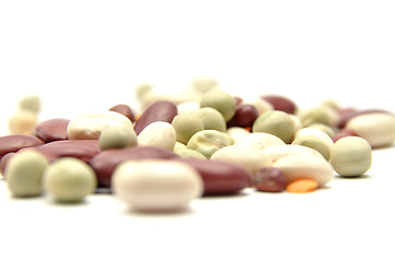 Image showing Detailed but simple image of legumes on white