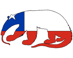 Image showing Anteater Chile