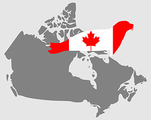 Image showing Canadian seal