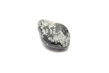 Image showing Detailed and colorful image of snowflake obsidian 