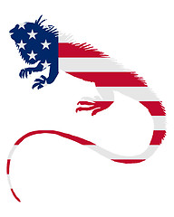 Image showing Iguana United States of America