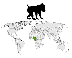 Image showing Mandrill range map