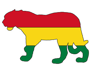 Image showing Jaguar Bolivia
