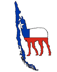 Image showing Lama Chile