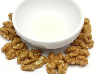 Image showing Walnut oil in a bowl of chinaware surrounded by walnuts