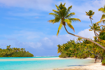 Image showing tropical landscape