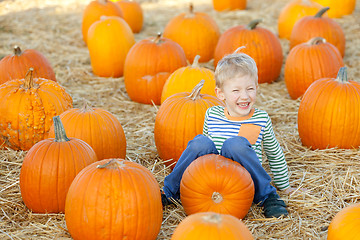 Image showing kid at pumpkin patch