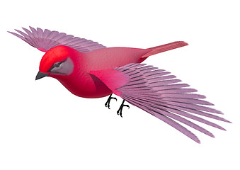 Image showing Songbird Tanager