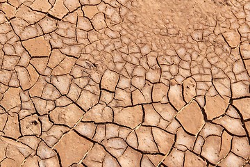 Image showing Cracked soil