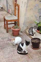 Image showing Chania, Crete