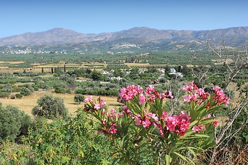 Image showing Crete