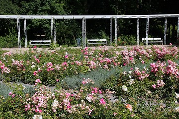 Image showing Budapest park