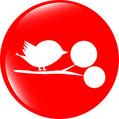 Image showing Bird glossy web icons, app button