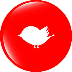 Image showing Glossy isolated website and internet web icon with bird symbol