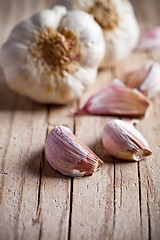 Image showing fresh garlic 