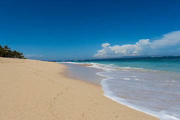 Image showing Beautiful tropical beach with lush vegetation