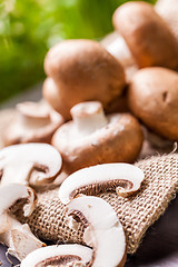 Image showing Fresh brown Agaricus mushrooms