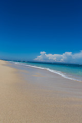 Image showing Beautiful tropical beach with lush vegetation