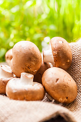 Image showing Fresh brown Agaricus mushrooms