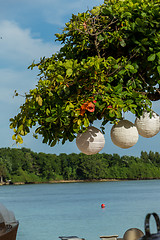 Image showing Three paper lanterns hanging form a tree