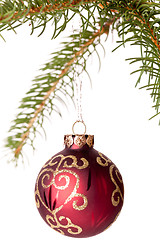 Image showing Christmas ball hanging from a branch of a fir tree