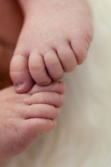 Image showing Small baby lying in fur