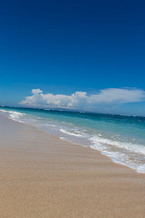 Image showing Beautiful tropical beach with lush vegetation