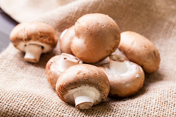 Image showing Fresh brown Agaricus mushrooms