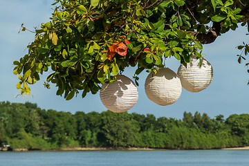 Image showing Three paper lanterns hanging form a tree