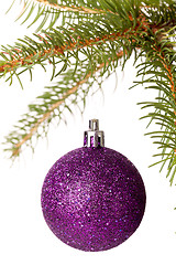 Image showing Christmas ball hanging from a branch of a fir tree