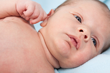 Image showing Small baby lying in fur