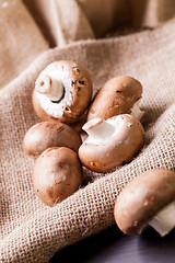 Image showing Fresh brown Agaricus mushrooms