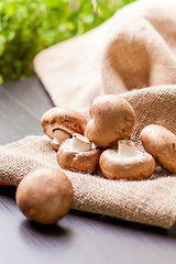 Image showing Fresh brown Agaricus mushrooms