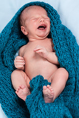 Image showing Small infant wrapped in knitted fabric