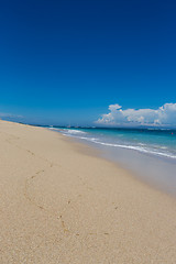 Image showing Beautiful tropical beach with lush vegetation