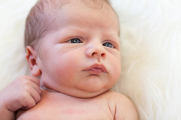 Image showing Small baby lying in fur