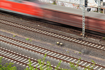 Image showing Fast moving train with red stripe