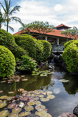 Image showing Person swimming in a pool in Bali