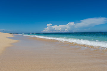 Image showing Beautiful tropical beach with lush vegetation