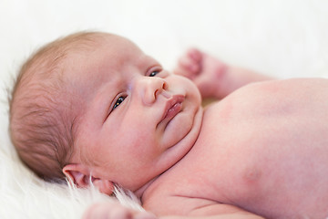 Image showing Small baby lying in fur