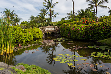 Image showing Person swimming in a pool in Bali