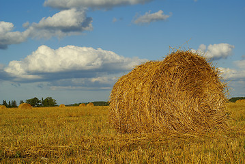 Image showing Hay landscape