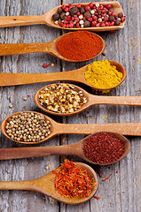 Image showing Spicy Spices