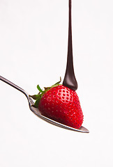 Image showing sweet fruit strawberry in chocolate syrup on silver spoon