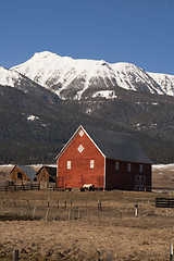 Image showing Livestock Wind Break Horse Leaning Red Barn Mountain Ranch