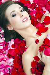 Image showing Pretty Woman Nude in Pink and Red Rose Petal Flowers