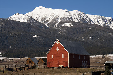 Image showing Livestock Wind Break Horse Leaning Red Barn Mountain Ranch