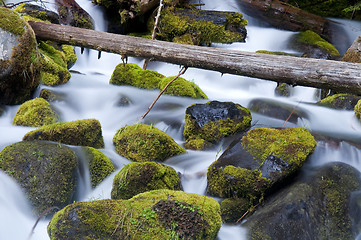Image showing Moss Filled Boulders Fill Stream as Water Rushes By